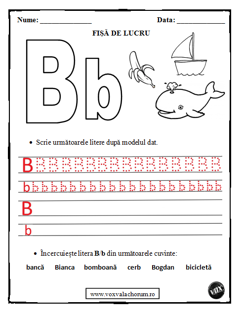 Sunetul și Litera B - Clasa Pregătitoare - Vox Valachorum