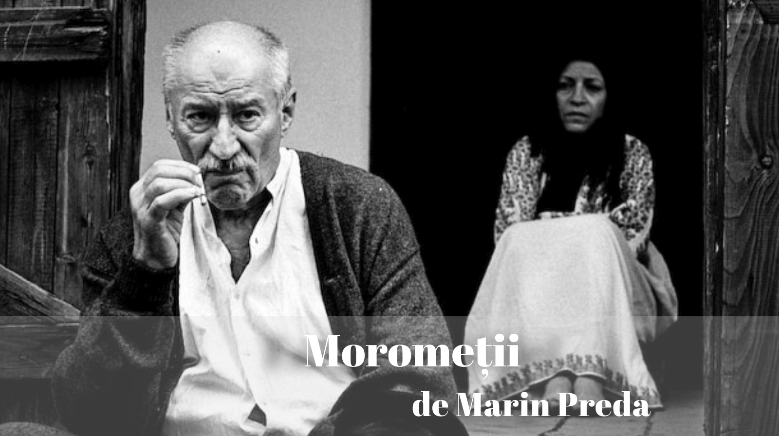 Rezumatul textului „Moromeții” de Marin Preda