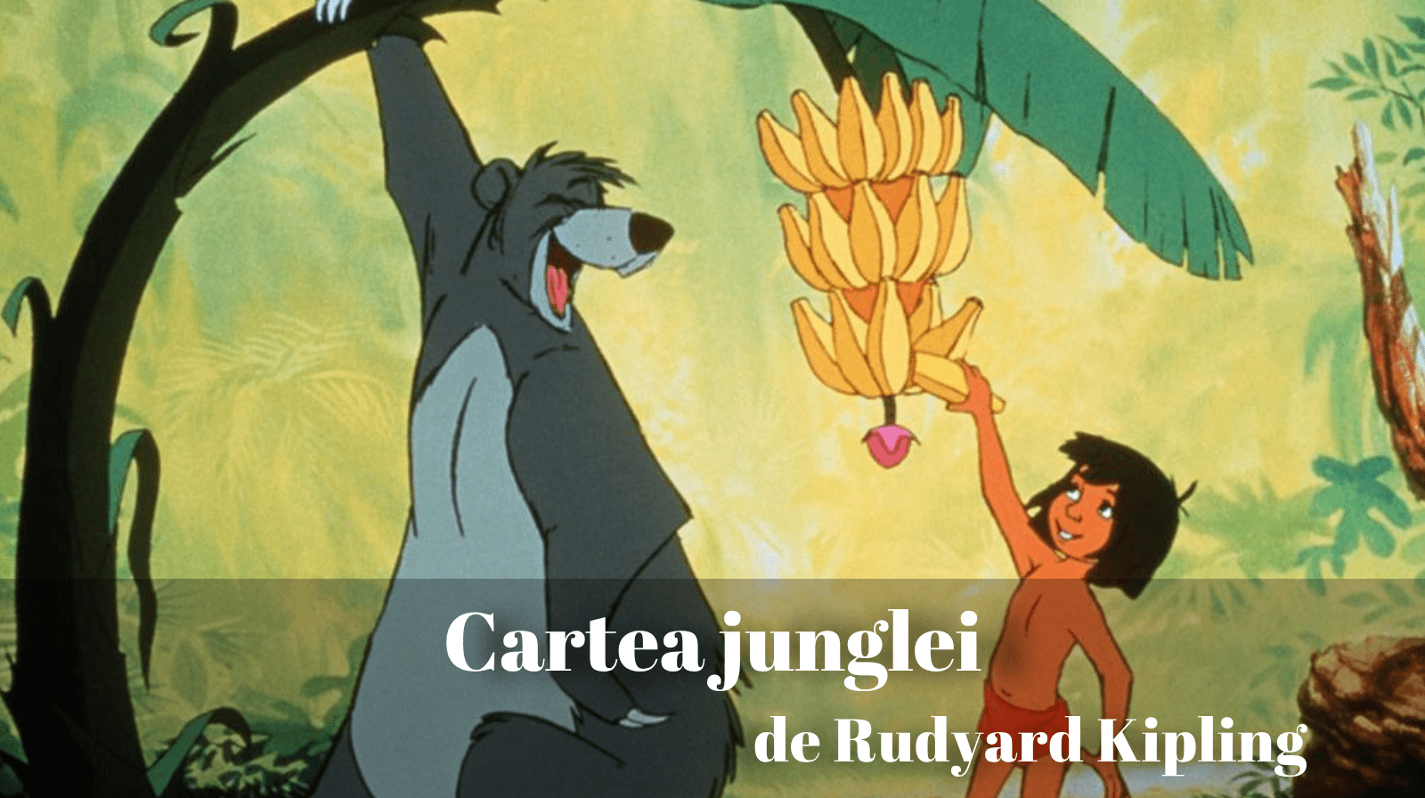 Rezumatul textului „Cartea junglei” de Rudyard Kipling