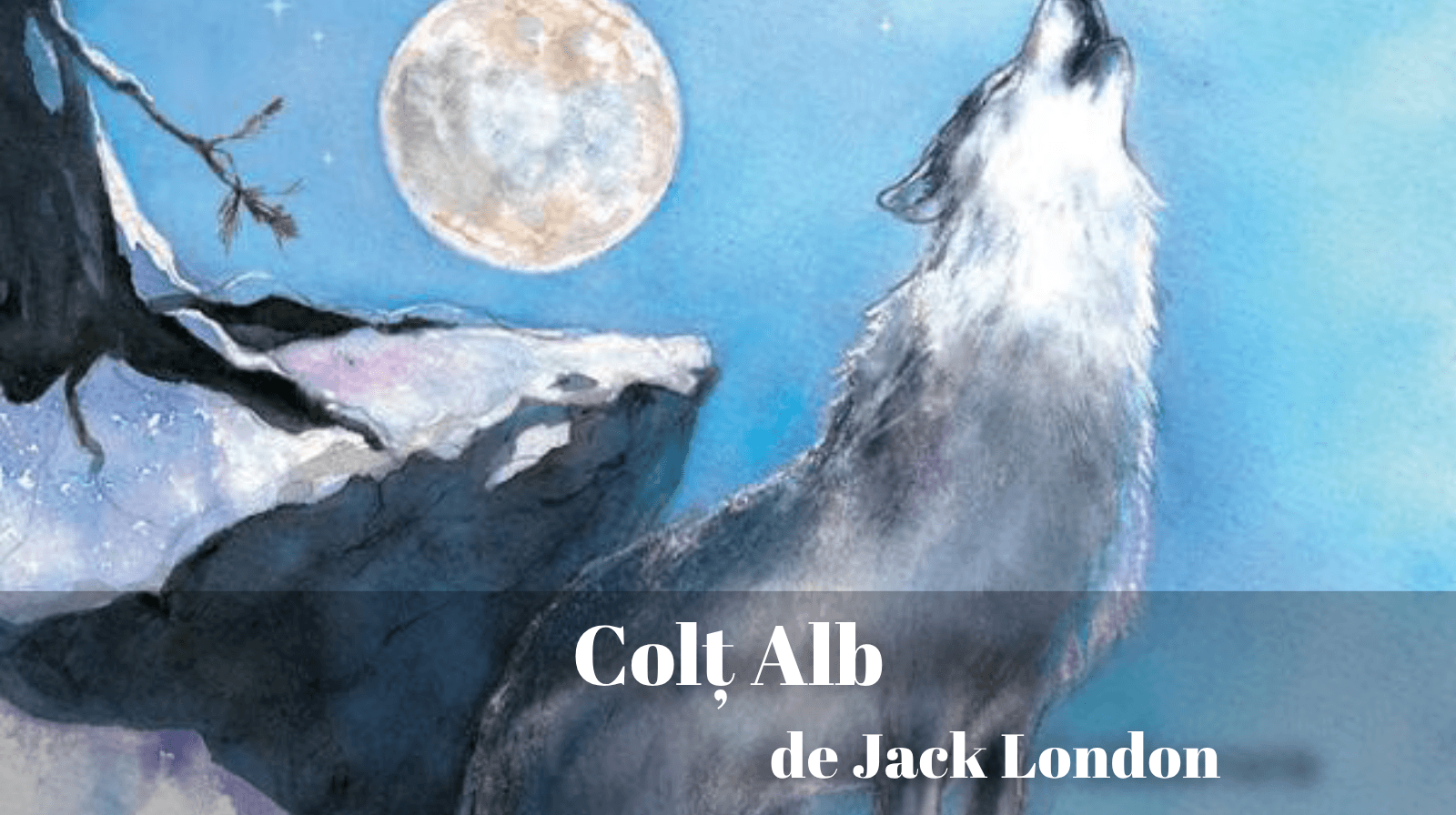 Rezumatul textului „Colț Alb” de Jack London