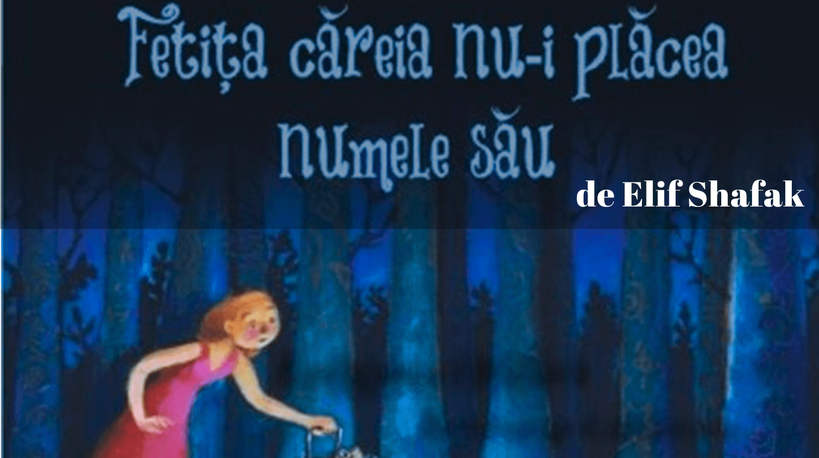 Rezumatul textului „Fetița căreia nu-i plăcea numele său” de Elif Shafak