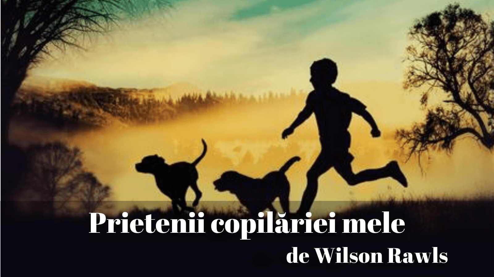 Rezumatul textului „Prietenii copilăriei mele” de Wilson Rawls
