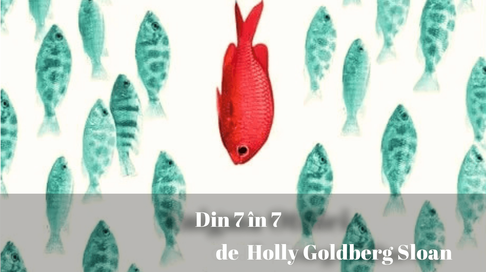 Rezumatul textului „Din 7 în 7” de Holly Goldberg Sloan