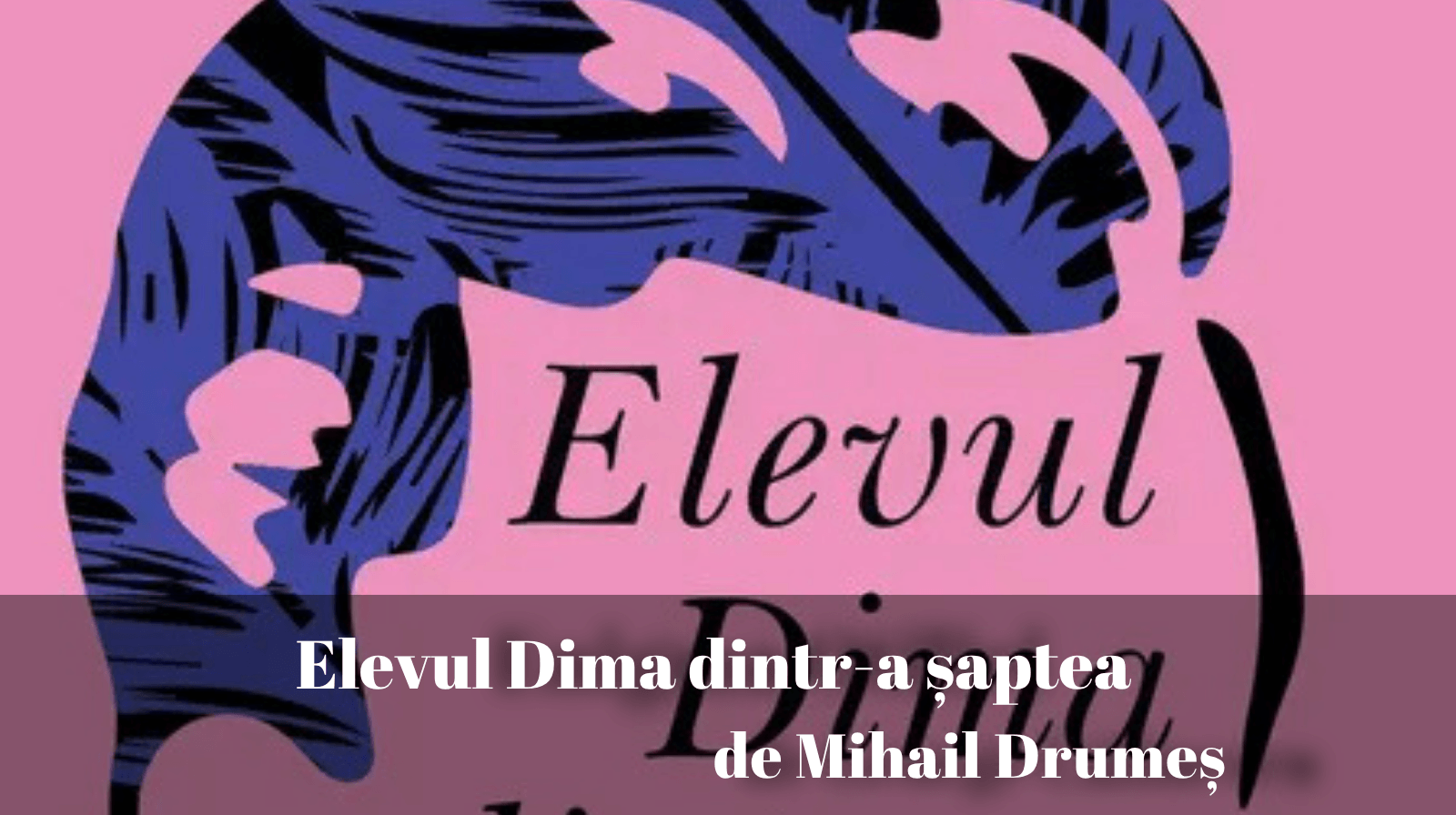 Rezumatul textului „Elevul Dima dintr-a şaptea” Mihail Drumeș